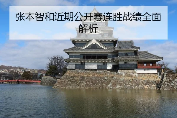 张本智和近期公开赛连胜战绩全面解析